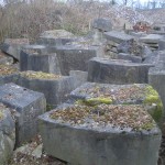 Teilansicht der Einzelteile nachdem sie von Bewuchs befreit wurden [Quelle: Verein der Freunde und Förderer Barbara-Denkmal e.V. Koblenz]